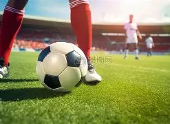 国际赛场回,归将至,俄罗斯足协,网球直播,网球直播体育,Tennis,Sports,网球直播体育官网