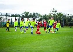 本周中国女,将遭遇连败,八强席位全,网球直播,网球直播体育,Tennis,Sports,网球直播体育官网