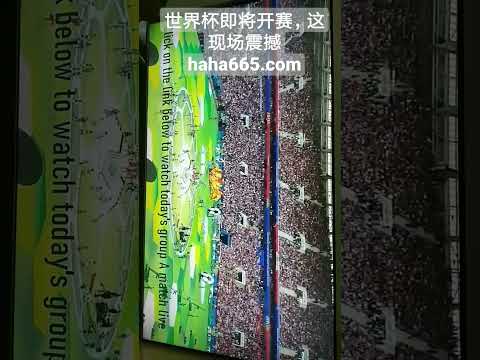 哈兰德加时,绝杀,多特蒙德,网球直播,网球直播体育,Tennis,Sports,网球直播体育官网