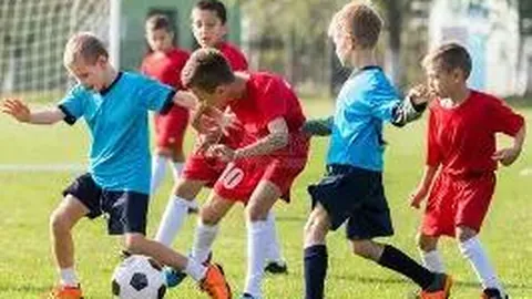 2025赛季准入名单公布：沧州雄狮和广州队遗憾出局