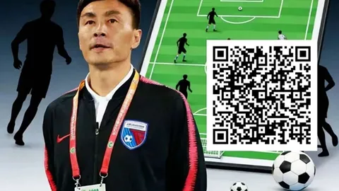 网球直播体育 资讯 222719 e25